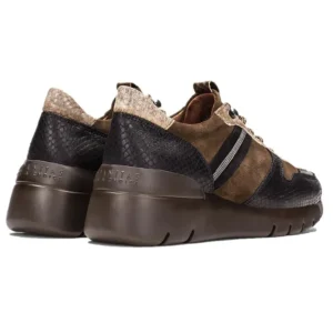 HISPANITAS CHI99556 MARRON CORDÓN CASUAL